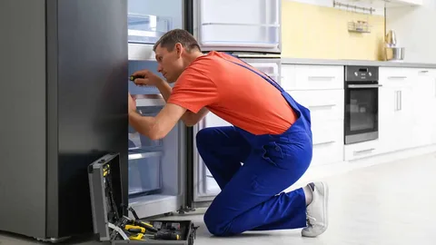 Meile Refrigerator Service